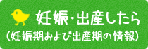 妊娠・出産したら（妊娠期および出産期の情報）